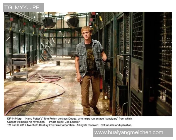 足球天才汤姆崛起记 从草根球员到全球巨星的传奇之路 足球天才汤姆崛起记 从草根球员到全球巨星的传奇之路